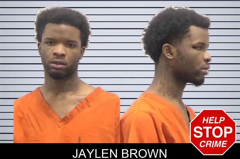 Jaylen Brown mugshot