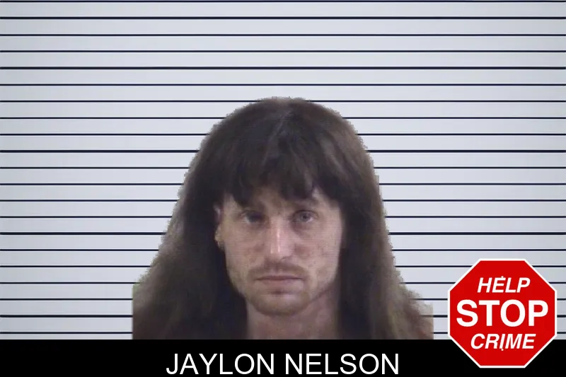 Jaylon Nelson mugshot – Whitfield County , Georgia Jaylon Nelson mugshot
