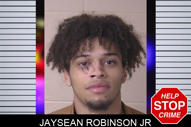 Jaysean Robinson Jr mugshot