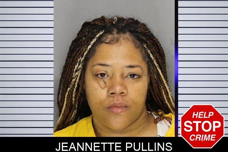Jeannette Pullins mugshot