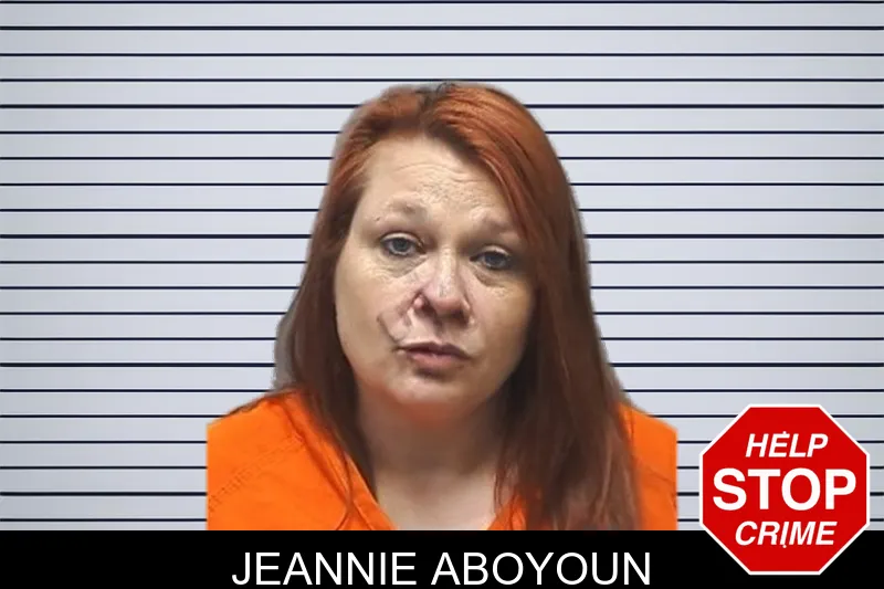 Jeannie Aboyoun mugshot
