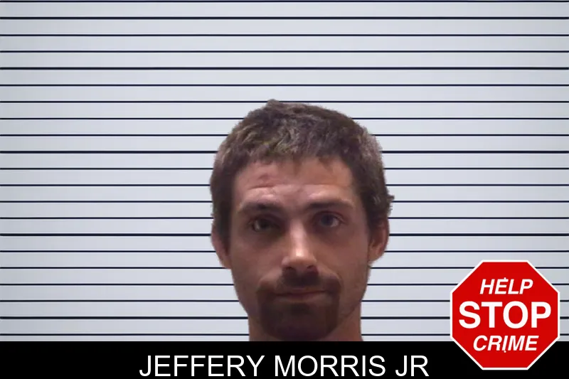 Jeffery Morris Jr mugshot