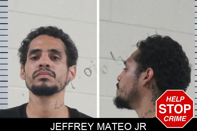 Jeffrey Mateo Jr mugshot