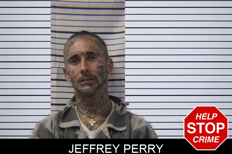 Jeffrey Perry mugshot