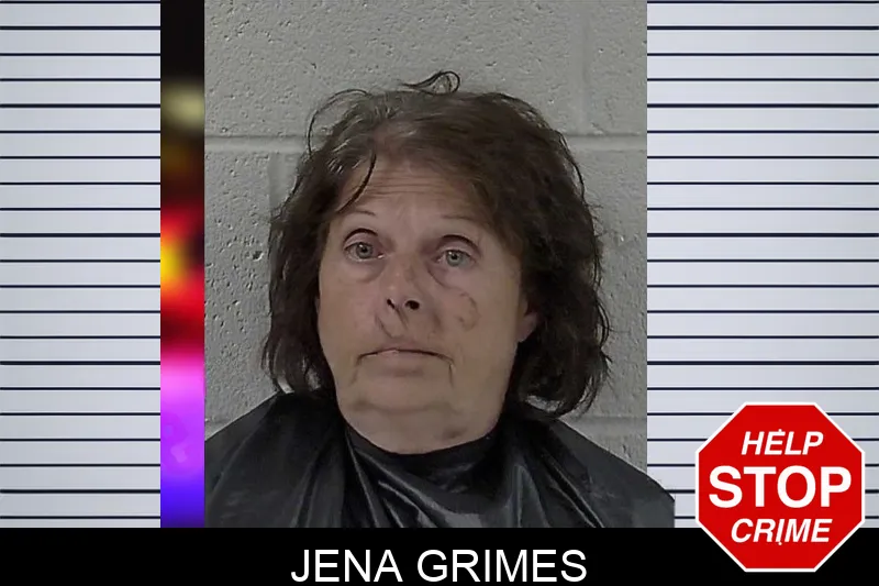 Jena Grimes mugshot