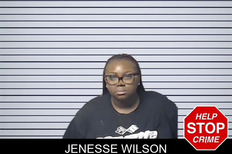 Jenesse Wilson mugshot