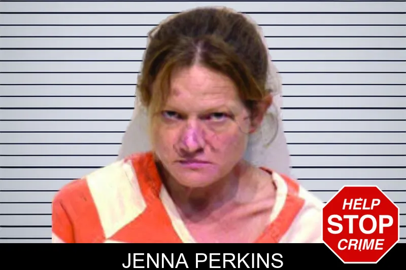 Jenna Perkins mugshot