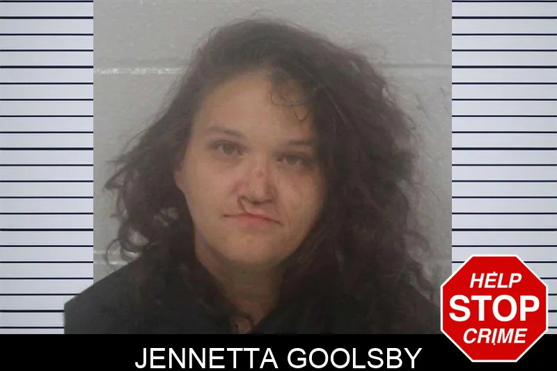 Jennetta Goolsby mugshot – Carroll County , Georgia Jennetta Goolsby mugshot