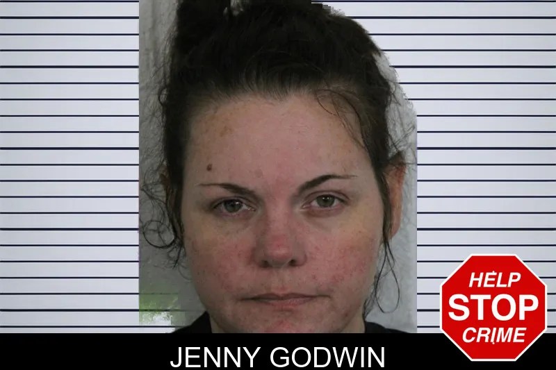 Jenny Godwin mugshot