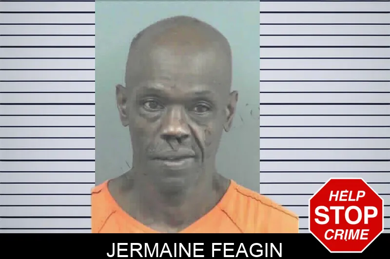 Jermaine Feagin mugshot