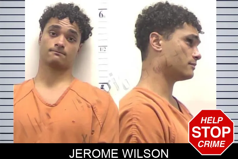 Jerome Wilson mugshot