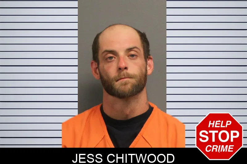 Jess Chitwood mugshot