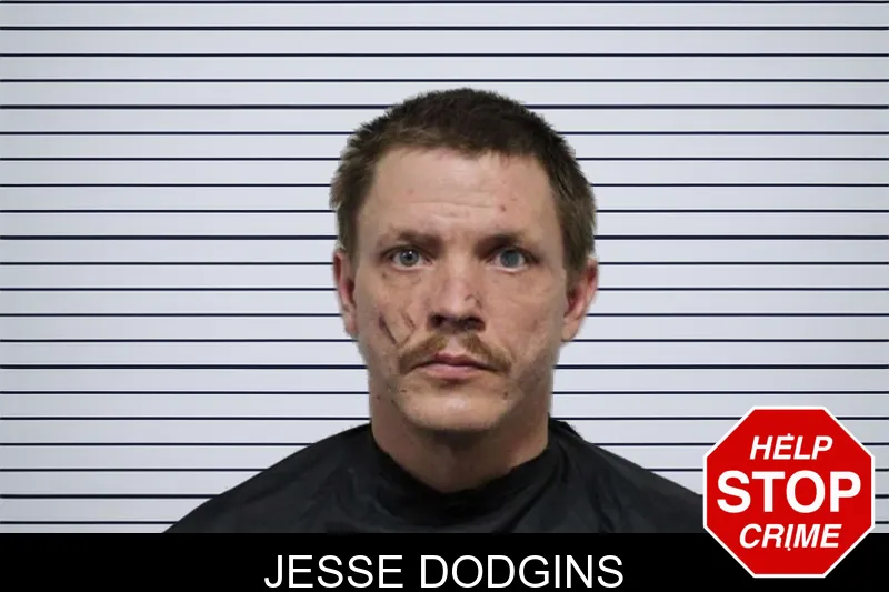 Jesse Dodgins mugshot