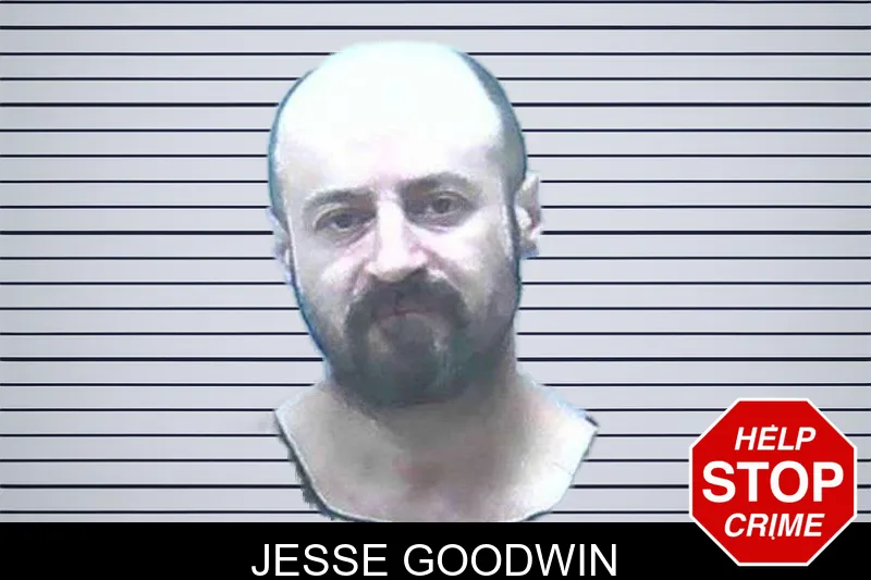 Jesse Goodwin mugshot