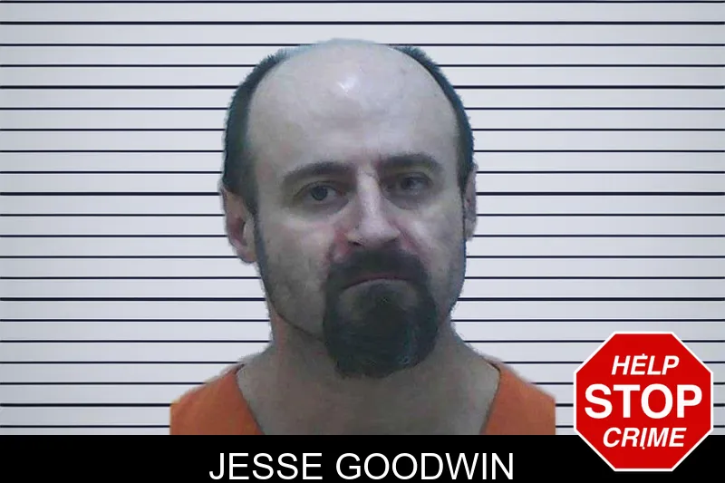 Jesse Goodwin mugshot