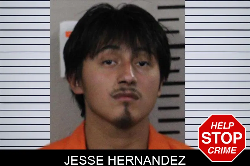 Jesse Hernandez mugshot