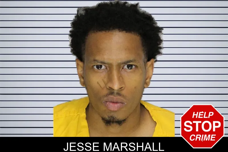 Jesse Marshall mugshot