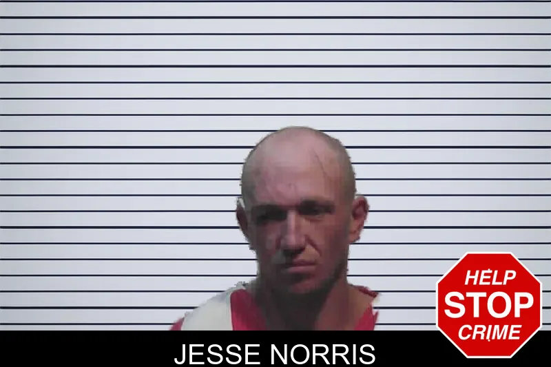 Jesse Norris mugshot