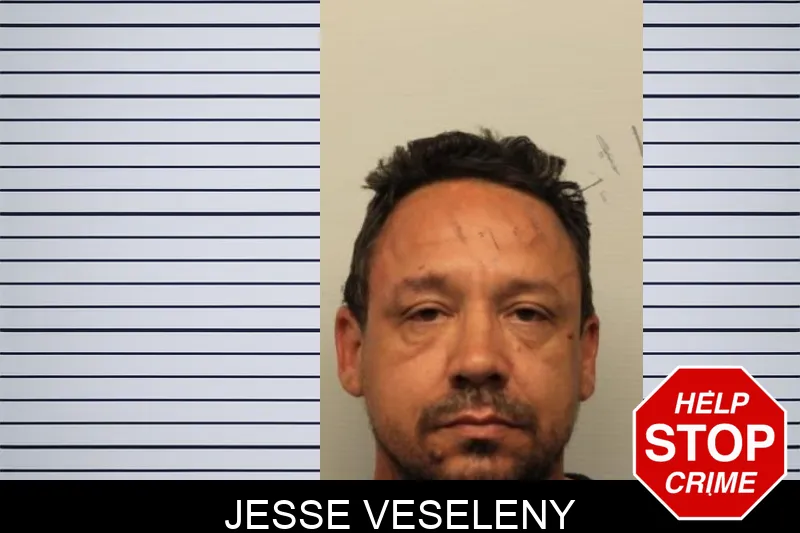 Jesse Veseleny mugshot
