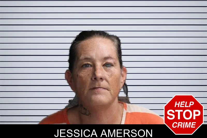 Jessica Amerson mugshot