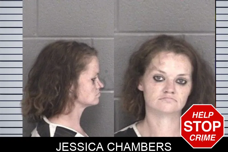 Jessica Chambers mugshot