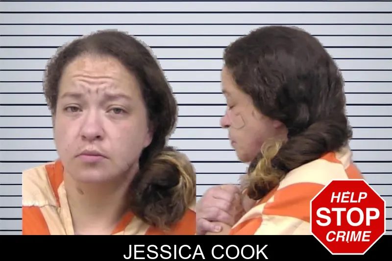 Jessica Cook mugshot