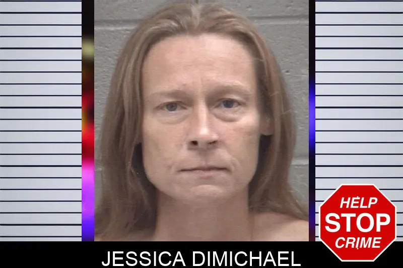 Jessica Dimichael mugshot