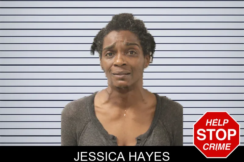 Jessica Hayes mugshot