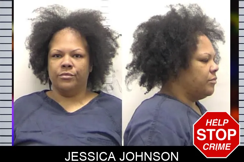Jessica Johnson mugshot