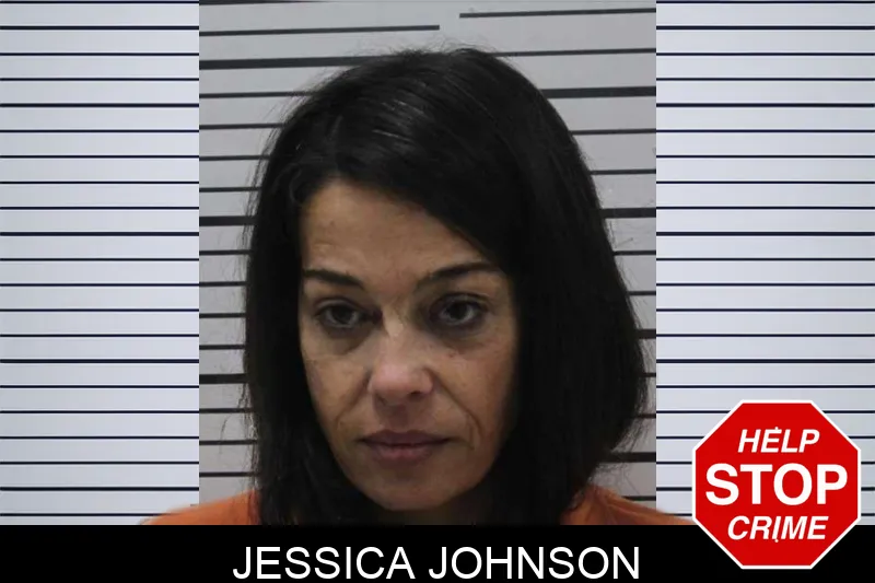 Jessica Johnson mugshot