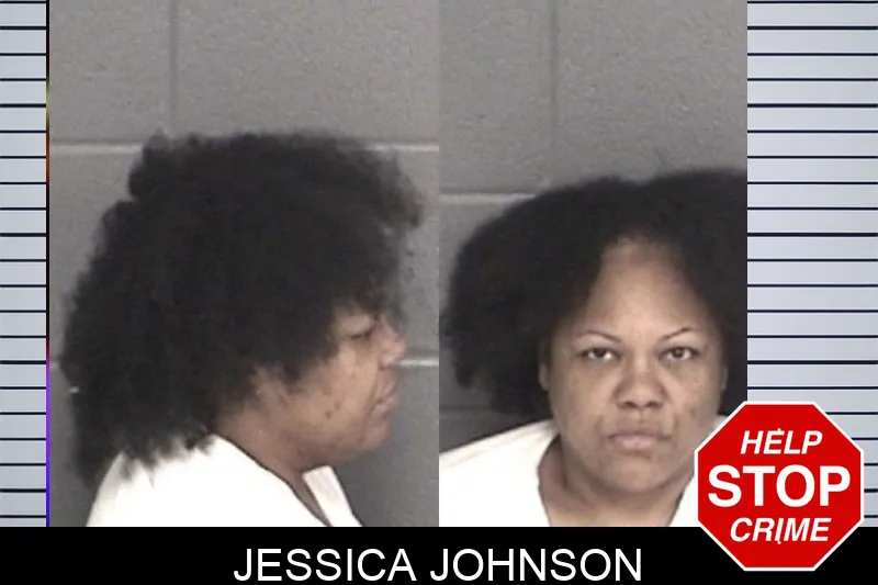 Jessica Johnson mugshot