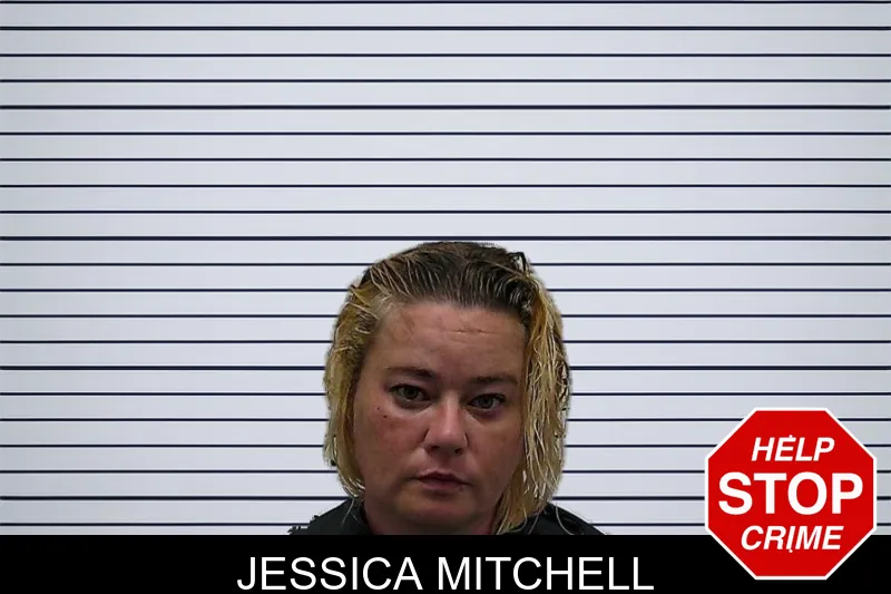 Jessica Mitchell mugshot