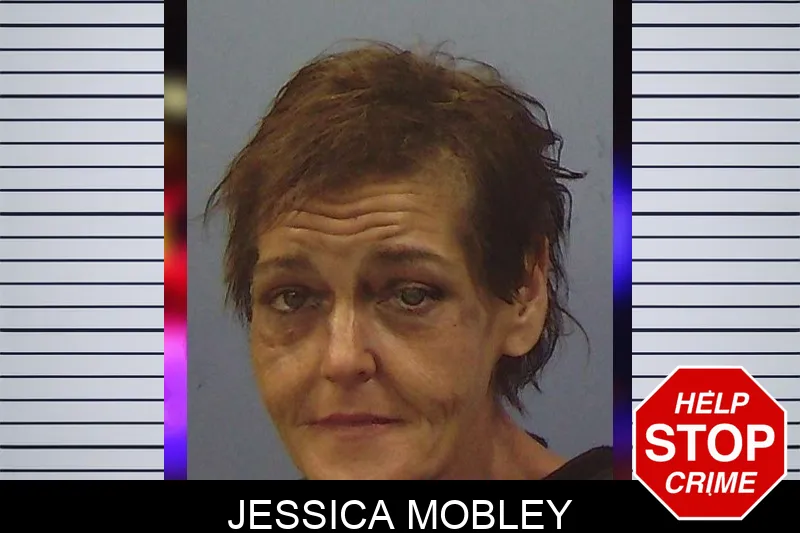 Jessica Mobley mugshot