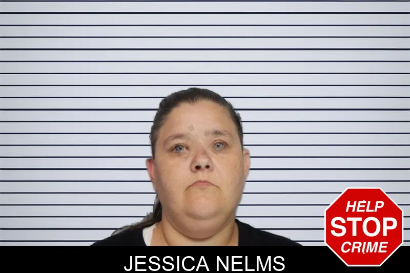Jessica Nelms mugshot