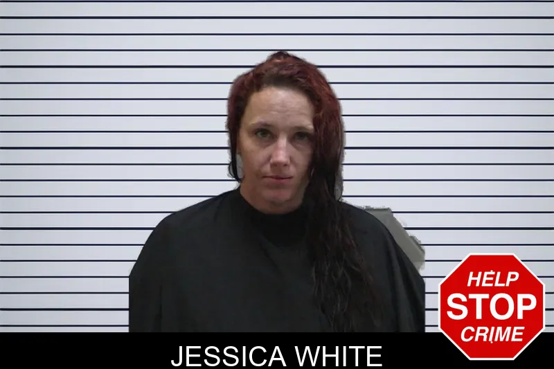 Jessica White mugshot