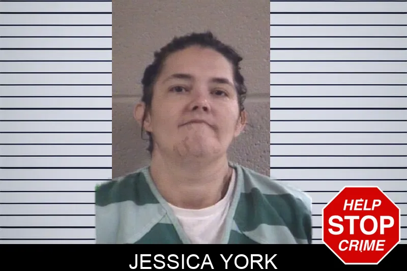 Jessica York mugshot