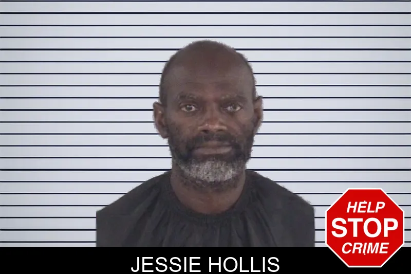 Jessie Hollis mugshot