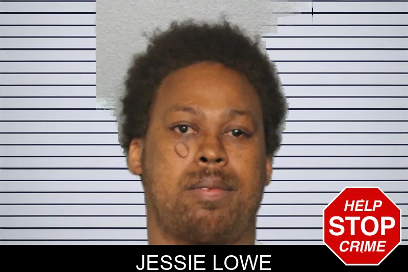 Jessie Lowe mugshot