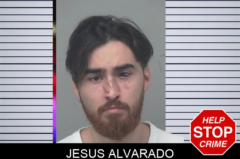 Jesus Alvarado mugshot