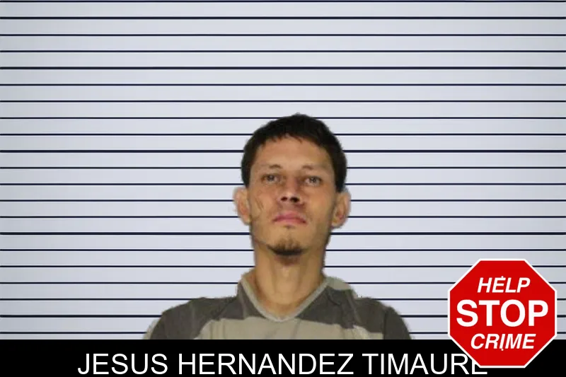 Jesus Hernandez Timaure mugshot