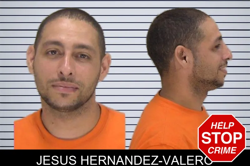 Jesus Hernandez-Valero mugshot
