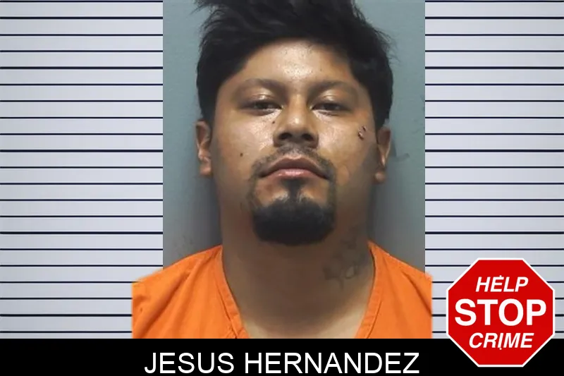 Jesus Hernandez mugshot
