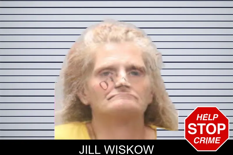 Jill Wiskow mugshot – Muscogee County , Georgia Jill Wiskow mugshot