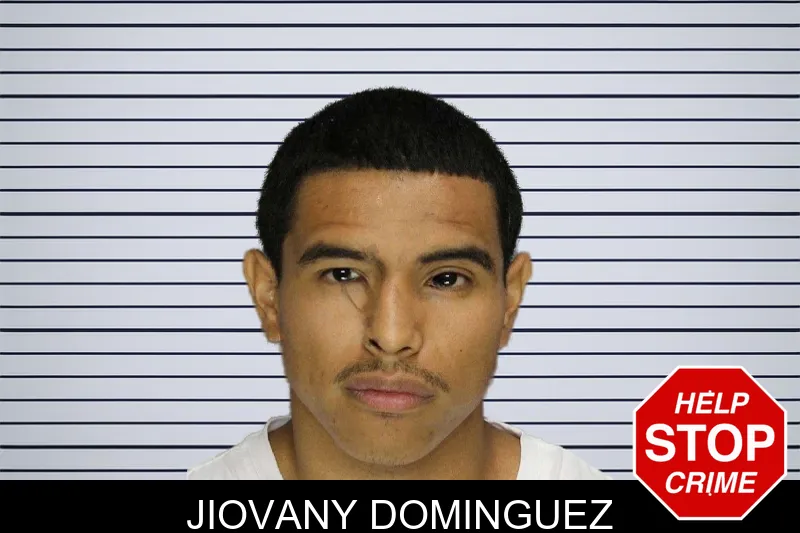 Jiovany Dominguez mugshot
