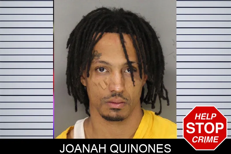Joanah Quinones mugshot