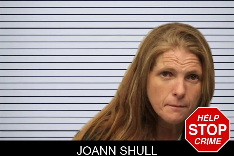 Joann Shull mugshot