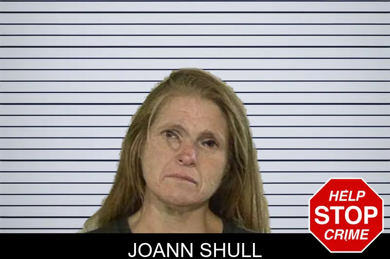 Joann Shull mugshot