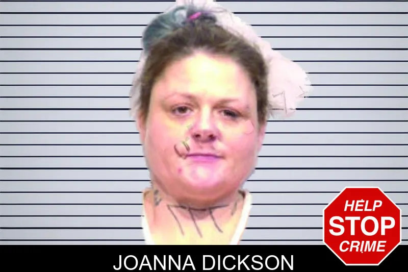 Joanna Dickson mugshot
