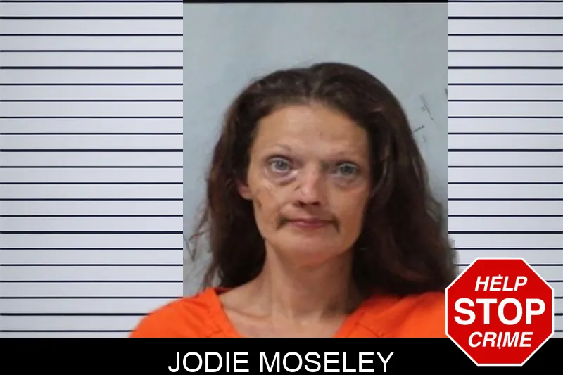 Jodie Moseley mugshot