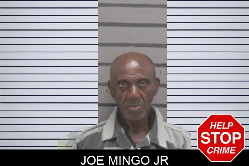 Joe Mingo Jr mugshot